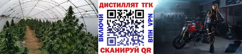 ТГК вейп где продают Сосенский