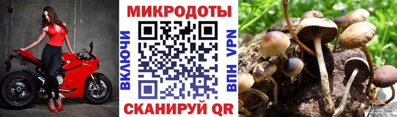 Галлюциногенные грибы Psilocybine cubensis Сосенский